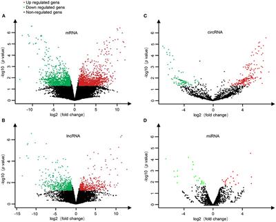 Differential Expression and Correlation Analysis of Global Transcriptome for Hemorrhagic Transformation After Acute Ischemic Stroke